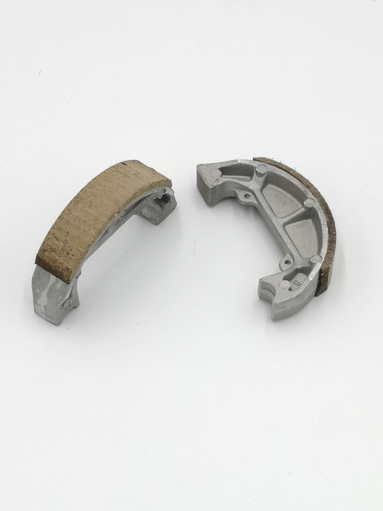 5564_1.jpg