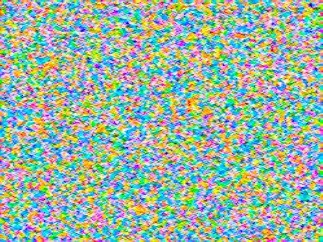 8683_1.jpg