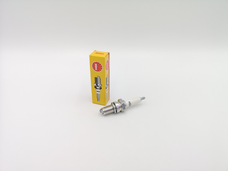 880.jpg