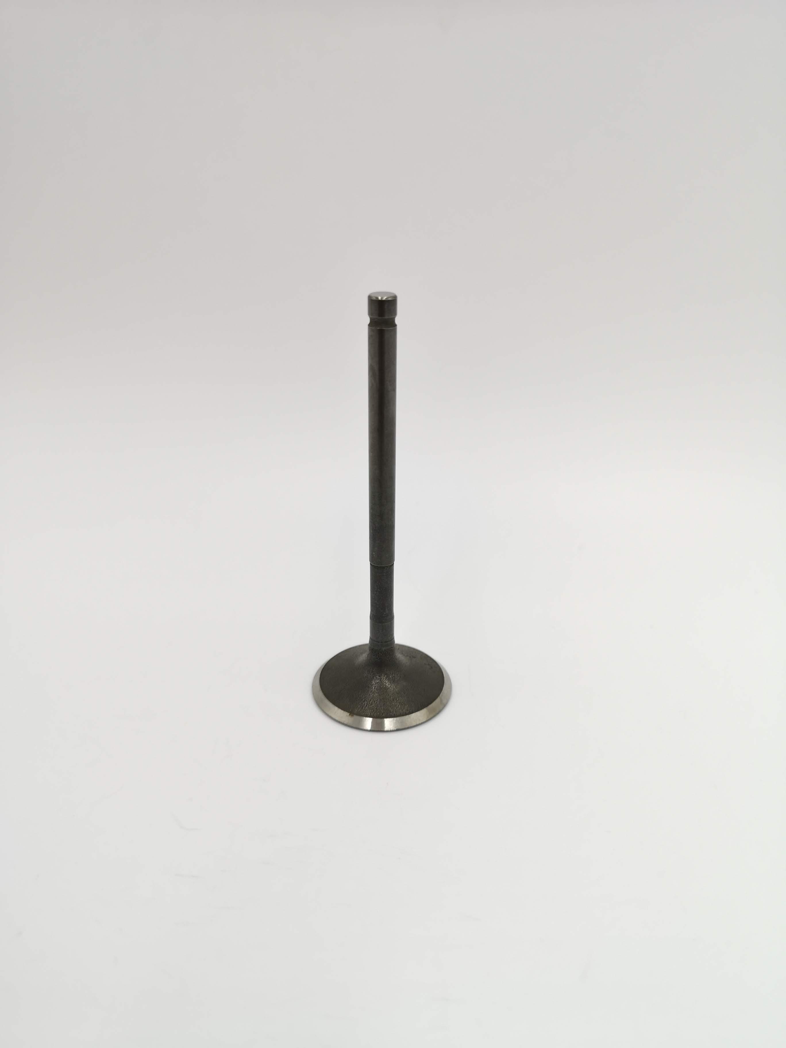 9770_1.jpg